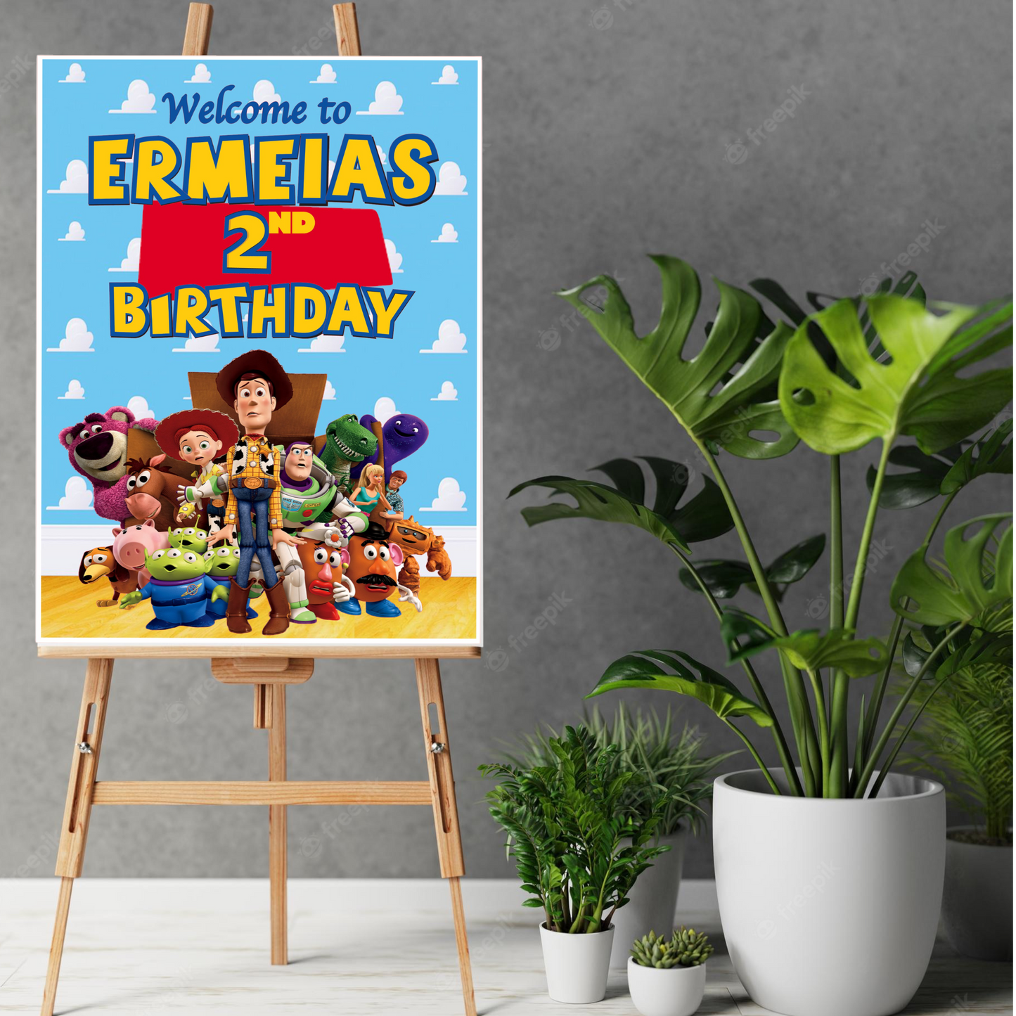 Toy story birthday party package. We offer any character custom package.